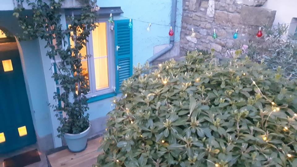 Little garden Leilighet Piran Eksteriør bilde
